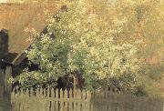 Levitan, Isaak Faulbeerbaum oil on canvas